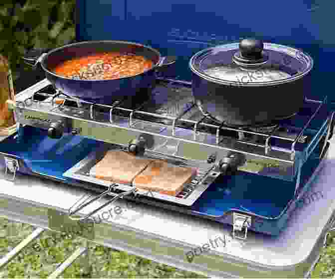 A Camper Cooking A Meal Over A Portable Camping Stove, Surrounded By Natural Beauty Camping For Dummies Michael Hodgson