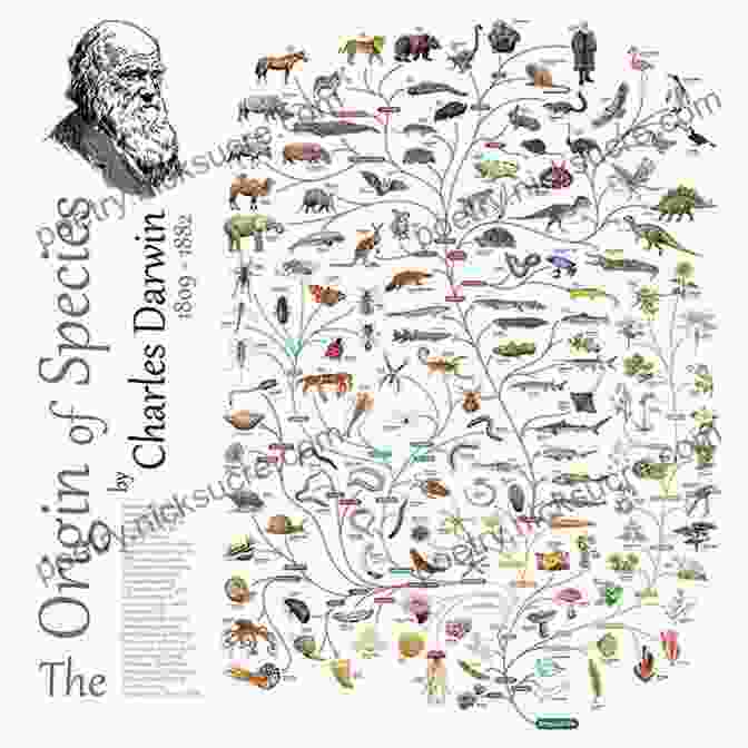 A Depiction Of Charles Darwin's Evolutionary Theory, With A Branching Tree Representing The Diversification Of Species. Key Concepts In Victorian Literature (Key Concepts: Literature)