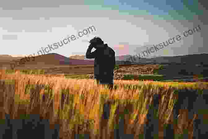 A Person Standing In A Field, Looking Out At The Horizon, With A Sense Of Hope And Determination. Desire Darkness And Hope: Theology In A Time Of Impasse