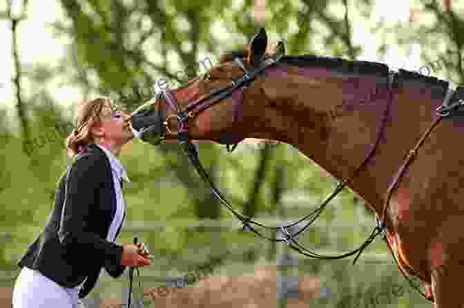 A Woman And Her Horse Communicating Through Body Language And Touch How To Begin Equine Clicker Training: Improve Horse Human Communication (Life Skills For Horses)