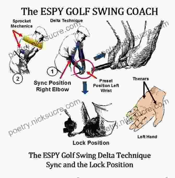 An Anatomical Diagram Of The Golf Swing In Search Of The Greatest Golf Swing: Chasing The Legend Of Mike Austin The Man Who Launched The World S Longest Drive And Taught Me To Hit Like A Pro