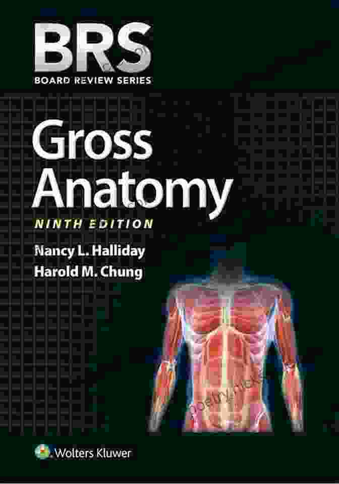 BRS Gross Anatomy Board Review Series Book Cover BRS Gross Anatomy (Board Review Series)