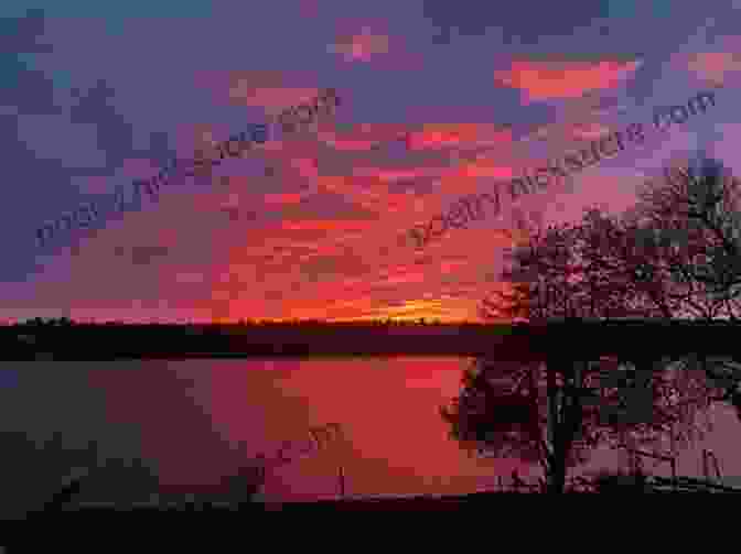 Campers Admiring A Breathtaking Sunset Over A Pristine Lake Camping For Dummies Michael Hodgson