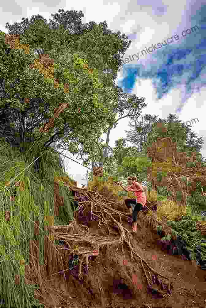 Hiker On The Hanalei Valley Trail Kauai Trails: Walks Strolls And Treks On The Garden Island (Kauai Trails: Walks Strolls Treks On The Garden Island)