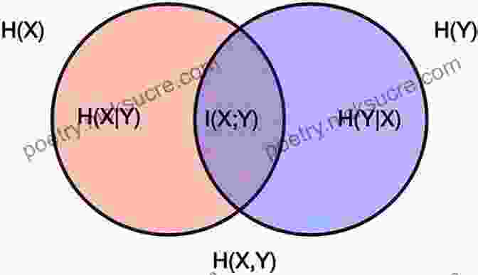 Information Theory Diagram With Entropy And Mutual Information Concepts Information Theory: A Concise 