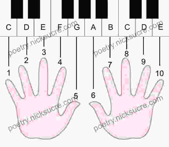 Piano Keyboard With Labeled Notes And Finger Numbers Alfred S Basic Piano Library Lesson 1A: Learn How To Play Piano With This Esteemed Method