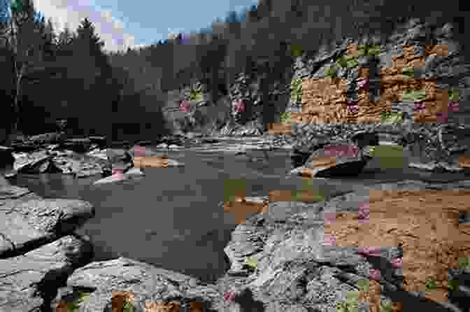 Rafters Enjoying The Scenic Beauty Of The Lower Gauley River Whitewater Rafting On West Virginia S New Gauley Rivers: Come On In The Water S Weird (Sports)