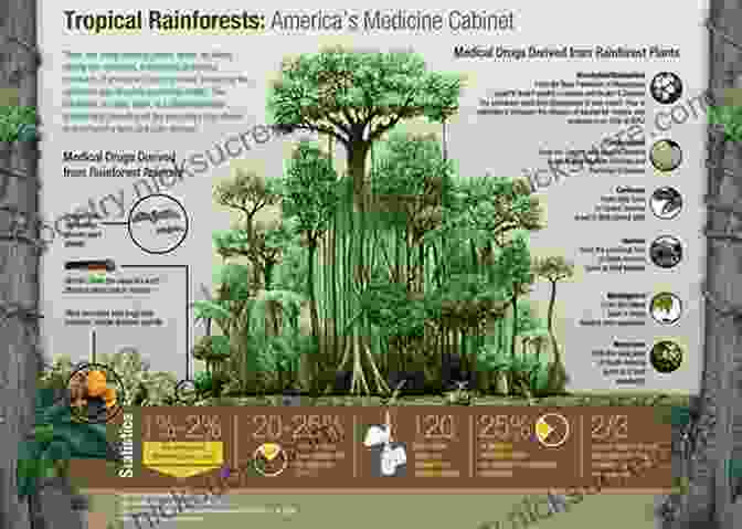 The Lush Rainforest Ecosystem Provides The Gebusi People With A Wealth Of Resources And Spiritual Sustenance. The Gebusi: Lives Transformed In A Rainforest World