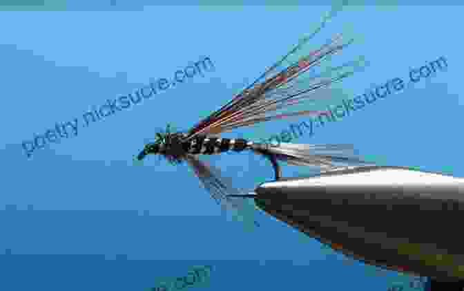 Tied Soft Hackle Wet Fly Wet Flies: Tying And Fishing Soft Hackles Flymphs Winged Wets And All Fur Wet Flies