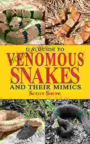 U S Guide to Venomous Snakes and Their Mimics