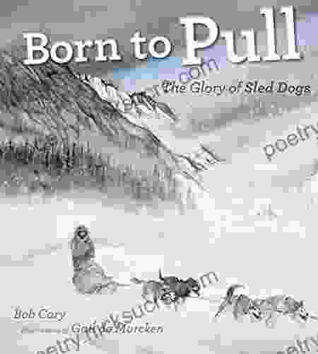 Born To Pull: The Glory Of Sled Dogs