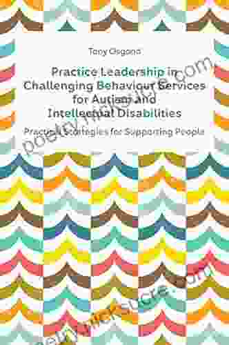 Practice Leadership In Challenging Behaviour Services For Autism And Intellectual Disabilities: Practical Strategies For Supporting People